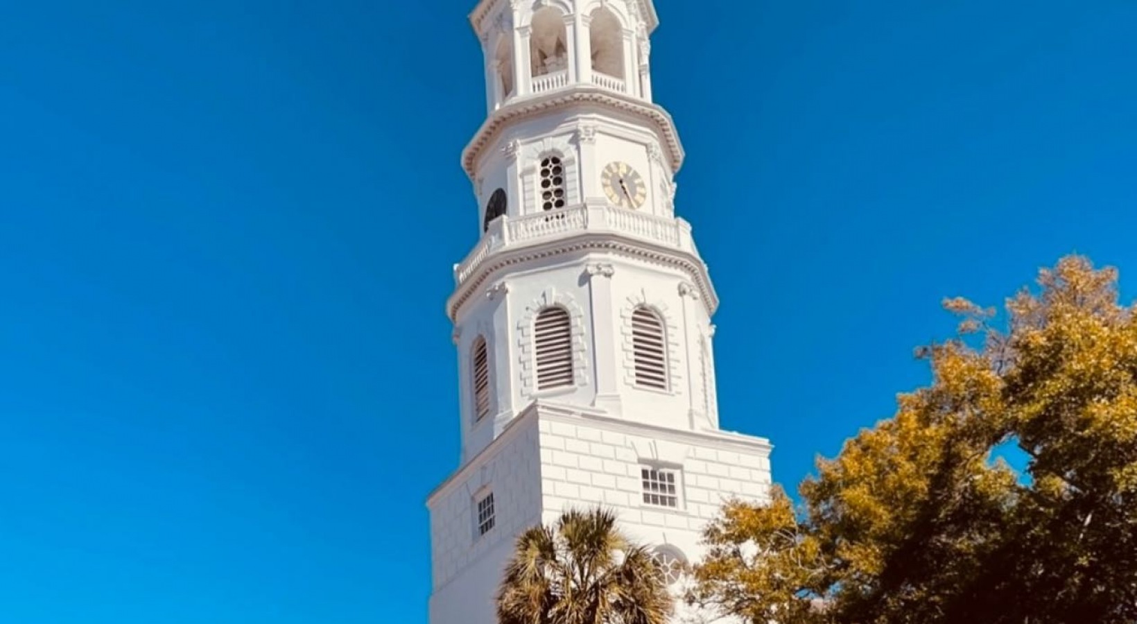 Available Studio Or 1 Bedroom Apartments In Charleston SC Madison 